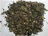 Công ty tnhh trà, cafe di bảo cần tìm nhà phân phối sản phẩm trà lài, sen, dứa dùng cho quán cafe