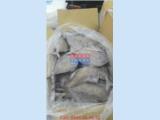 Tìm nhà phân phối cá chim đen (biển), size 500gr up