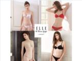 Tìm nhà phân phối/ đại lý cho nhãn hàng nội y elle và guy laroche