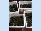 Tìm đại lý, nhà phân phối số lượng lớn cua biển cà mau tại hà nội và các tỉnh phía bắc