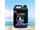 Tìm đại lý, nhà phân phối sản phẩm nước giặt xả 5 in 1 karabi siêu đậm đặc