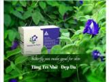 Tìm đại lý, nhà phân phối sản phẩm hoa đậu biếc và trà túi lọc hoa đậu biếc