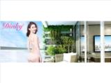 Tìm đại lý, nhà phân phối đồ lót cao cấp thương hiệu dinky & m-nimo