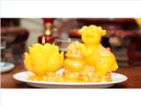 Tìm đại lý, nhà phân phối nến tết kỷ hợi phát tài 2019