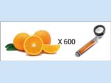 Tìm nhà phân phối vòi tắm hoa sen diệt khuẩn, cung cấp vitamin c