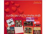 Tìm đại lý, nhà phân phối quà tặng socola valentine thương hiệu figo việt nam