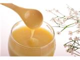 Tìm đại lý, nhà phân phối mật ong, phấn hoa, sữa ong chúa
