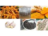 Chuyên cung cấp các loại nông sản : hồ tiêu, tiêu xay, tiêu sọ, nghệ, tỏi.