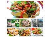 Tìm đại lý, nhà phân phối ếch thịt tại nông cống
