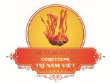 Tìm đại lý, nhà phân phối đông trùng hạ thảo trí nam việt trên toàn quốc - 0286.25.60.505