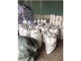 Cơ sở bánh tráng tây ninh tìm nhà phân phối trên toàn quốc