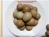 Tìm đại lý, nhà phân phối trứng chim trĩ
