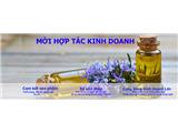 Tìm đại lý, nhà phân phối sản phẩm tinh dầu lamha