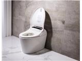 Tìm nhà phân phối, đại lý bán lẻ toàn quốc cho dòng bồn cầu thông minh nhật bản - 0915655795