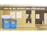 Tìm đại lý, nhà phân phối sơn nước tại miền nam, giá cạnh tranh từ nhà máy