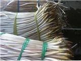 Cần tìm đại lý , npp ngó sen tươi