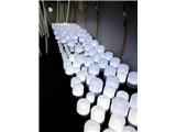 Tìm đại lý, nhà phân phối sản phẩm đèn led trâu vàng - 0865585229