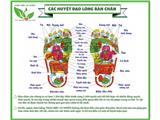 Cần tìm nhà phân phối thảo mộc an nhiên