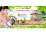 Tìm nhà phân phối ngũ cốc cao cấp dưỡng xanh