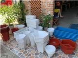 Tìm nhà phân phối hàng chậu nhựa siêu bền