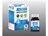 Atagux - sản phẩm tốt cho bệnh nhân bị gout cấp và mạn tính
