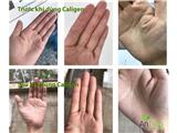 Tìm đại lý, nhà phân phối sản phẩm bột uống collagen trên toàn quốc