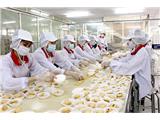 Tìm đại lý phân phối bánh kẹo, mứt tết, hạt hướng dương