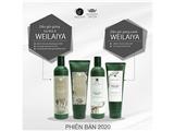 Tìm đại lí khách sỉ dầu gội xả gừng thương hiệu weilaiya