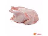 Công ty cổ phần chăn nuôi c.p. việt nam tìm đại lý phân phối độc quyền về heo gà và trứng khu vực bình dương hotline: 0981_495_196