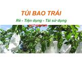 Tìm đại lý phân phối và cung cấp sỉ lẻ túi bao trái cây- nhận giao hàng trên toàn quốc. lh: 0814.606.248
