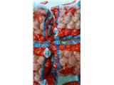 thực phẩm nufood cung cấp các mặt hàng xúc xích, đồ viên... cần tìm npp