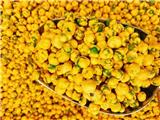 Công ty kim long chuyên sản xuất và phân phối các loại hạt sấy kênh tạp hóa, trường học