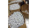 Tuyển đại lý, nhà pp bóng 3w