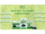 Cty gcap vn chuyên sản xuất và phân phối rong nho biển, cần tìm đại lý, npp toàn quốc