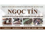 Mình cần bán sỉ lẻ nấm lim xanh cần tìm đại lý