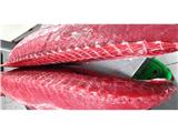 Cung cấp sỉ lườn bụng cá ngừ đại dương cho nhà hàng, khách sạn, hệ thống bán sỉ, lẻ