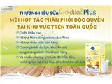 Tìm đại lý phân phối sữa non goldilac plus