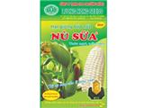 Cần tìm đối tác sỉ hạt giống bắp nù sữa trên toàn quốc