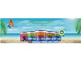 Tất tần tật về sơn elise - tuyển đại lý, nhà phân phối sơn