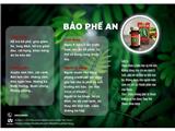 Công ty cp công nghệ dược phẩm bát phúc tìm nhà phân phối và đại lý thuốc bổ phế bảo phế an, khẩu trang y tế n95