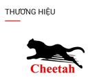 Tìm đại lý phân phối săm lốp xe cheetah