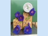 Tìm đại lý phân phối mầm đậu nành queen nature gold plus x2