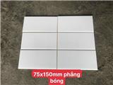 Tìm nhà phân phối cho gạch men 75x 150mm phẳng bóng