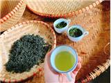 Tìm đại lý phân phối sản phẩm trà xanh thái nguyên