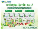 Thạch nha đam, thạch dừa, thạch trái cây zenzen cần tìm đại lý phân phối 