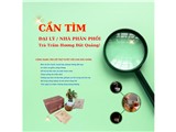 Tìm kiếm đại lý và nhà phân phối trà trầm hương cao cấp