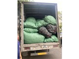 Địa chỉ sản xuất bóng nhựa hàng đầu tại việt nam tìm đơn vị hợp tác kinh doanh giá tốt nguồn hàng ổn định
