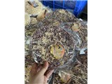 Cơm cháy siêu chà bông cần tìm đại lý phân phối