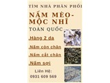 Tìm npp nấm mèo-mộc nhĩ toàn quốc