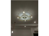 Tìm đại lý phân phối các mẫu quạt trần, đèn chùm